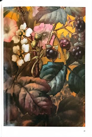 Поднесение к рождеству. Искусство и ботаника: вазы императорского фарфорового завода конца XIX начала XX века