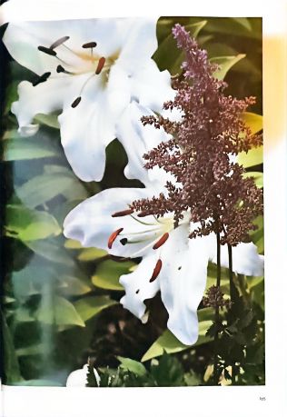 Поднесение к рождеству. Искусство и ботаника: вазы императорского фарфорового завода конца XIX начала XX века