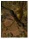 108 образов Будды. Исследование коллекции № 5942 из собрания Музея антропологии и этнографии (Кунсткамеры) РАН