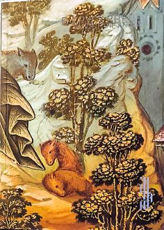 В кругу зверей